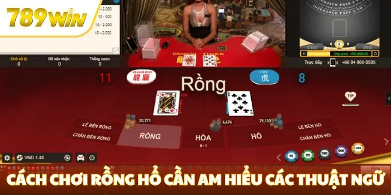 Cách chơi Rồng Hổ cần am hiểu các thuật ngữ