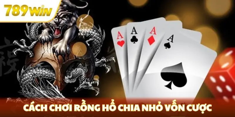 Cách chơi Rồng Hổ chia nhỏ vốn cược