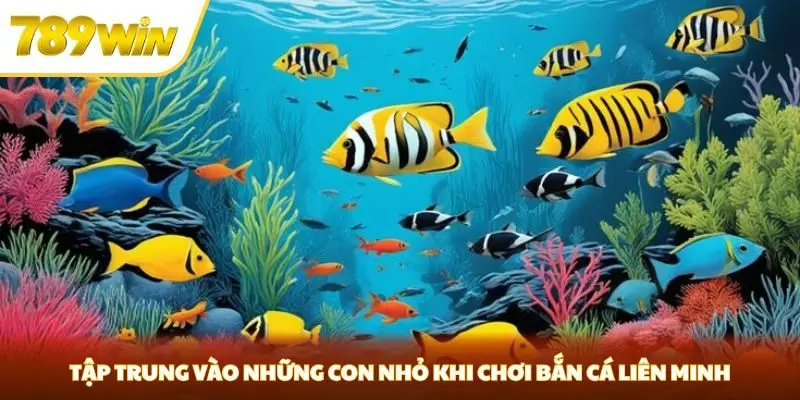 Tập trung vào những con nhỏ khi chơi bắn cá liên minh