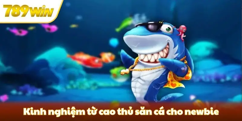 Top các kinh nghiệm từ cao thủ săn cá cho newbie mới tham gia